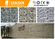 Lightweight Decorative Stone Tiles , Crack Free Hospital / Hotel Outdoor Wall Tiles supplier